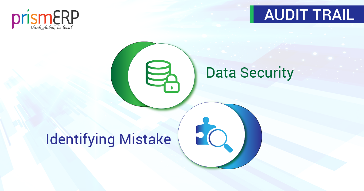 ERP Audit Trail And Security System