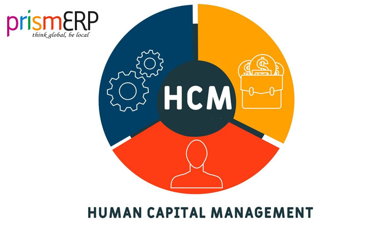 How Does HCM Keep Companies Sustainable?