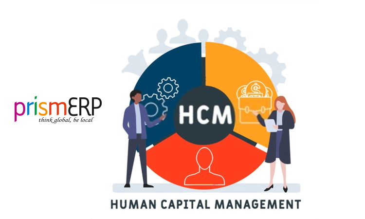 The Three W of HCM. What, Where, When?