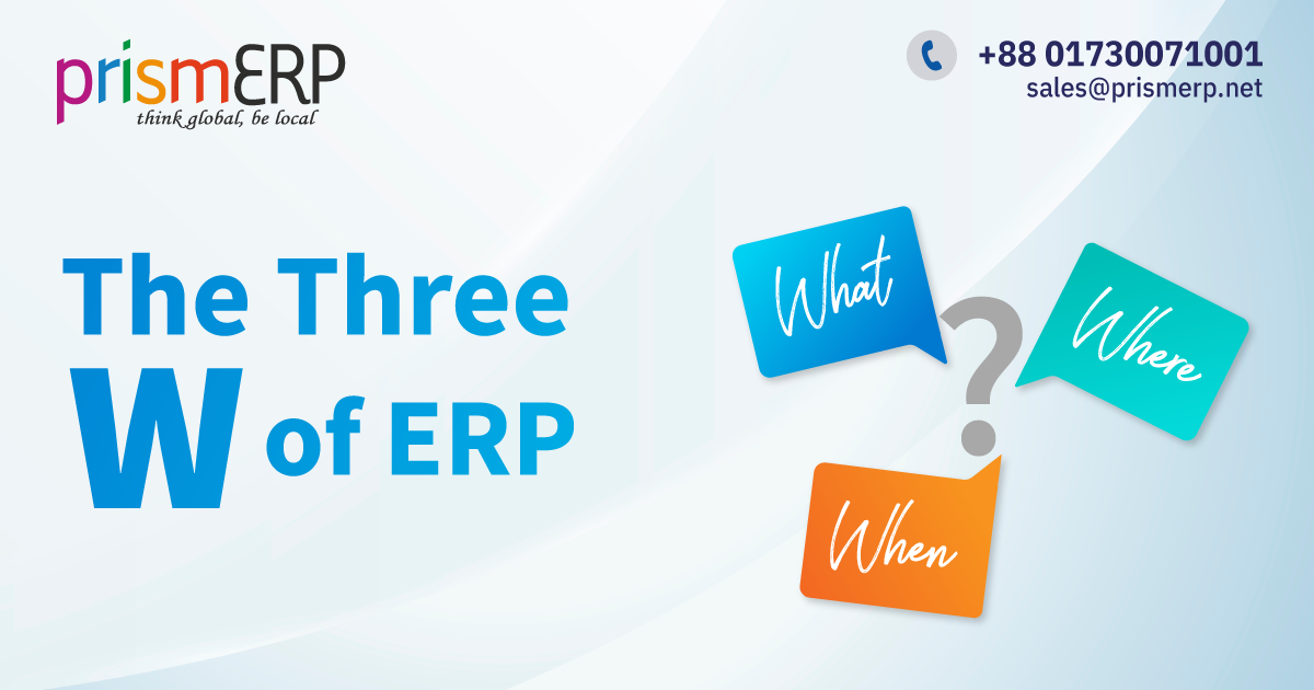 The Three W of ERP: What, Where and When?